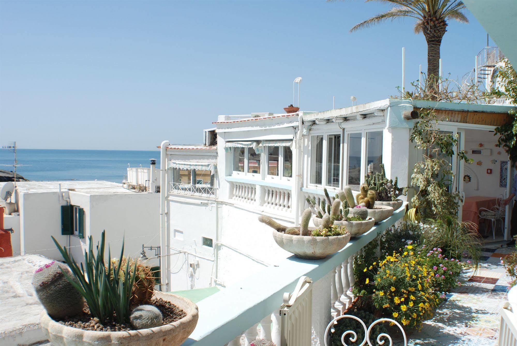Hotel La Palma Sant'Angelo  Eksteriør bilde