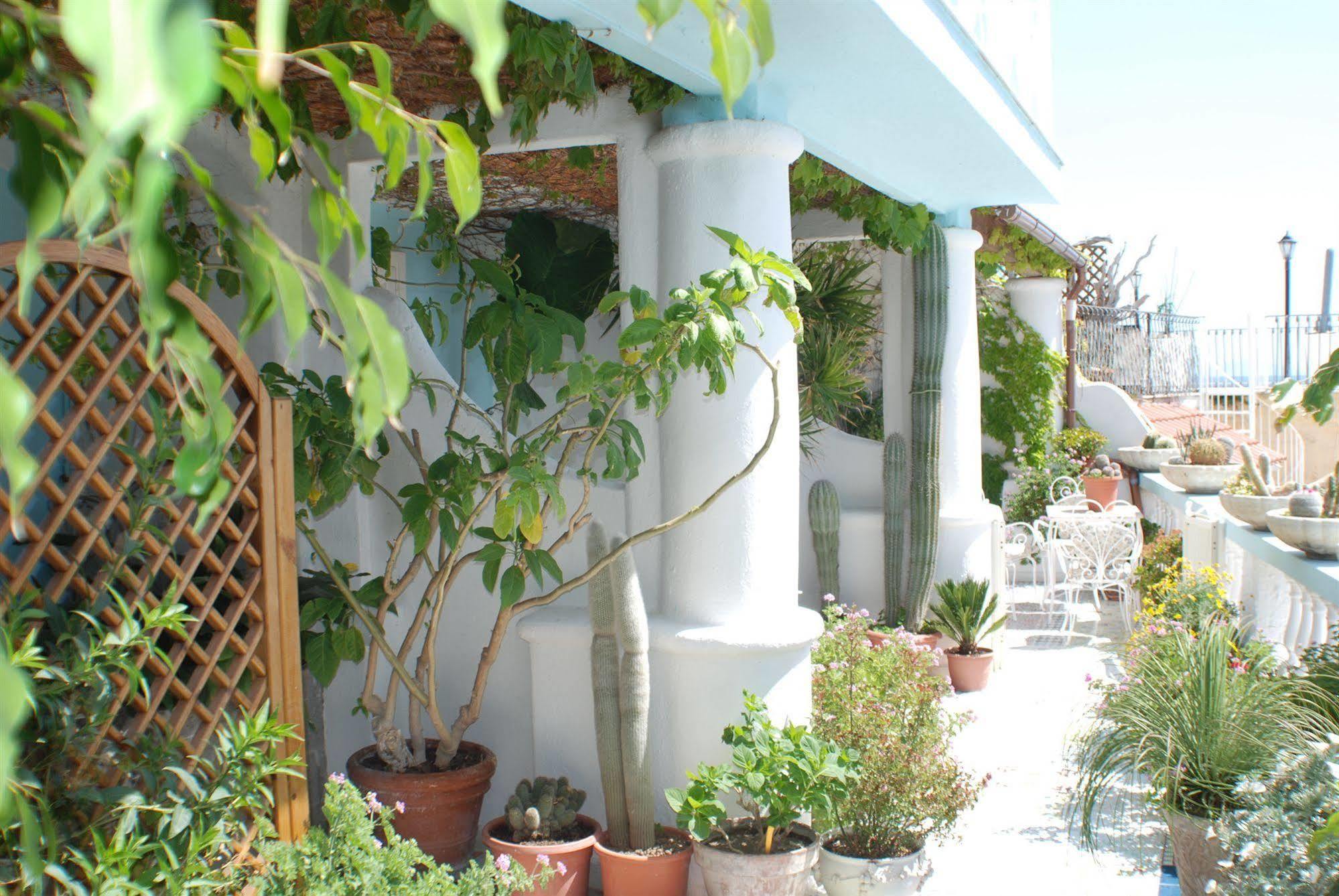 Hotel La Palma Sant'Angelo  Eksteriør bilde